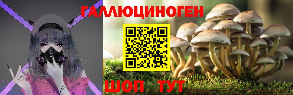 Лесной  Галлюциногенные грибы Cubensis  Псилоцибиновые грибы прущие грибы  Вход с VPN 
