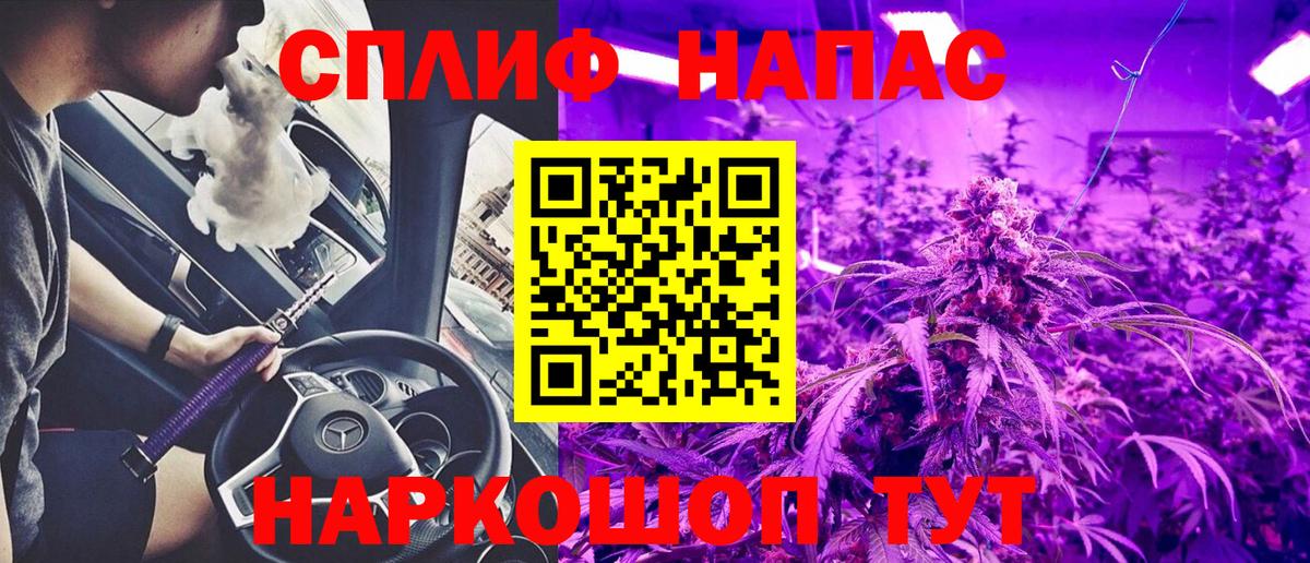 Бошки Шишки гибрид  Конопля VHQ  МАРИХУАНА семена  Лесной  Вход с VPN 